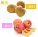 【2025年発送】どちらも食べたい！「白桃と黄桃の食べ比べセット　約２kg（4～10玉）」