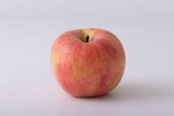 【2025年発送】一度は食べてみたい！高徳りんご　約2kg（5～12玉）