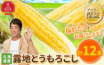 【26年先行予約】露地とうもろこし　合計12本　2026年8月中旬から発送開始予定&nbsp;【とうもろこし&nbsp;人気&nbsp;北海道産&nbsp;糖度&nbsp;生&nbsp;野菜&nbsp;スイートコーン&nbsp;産地直送&nbsp;バーベキュー&nbsp;BBQ&nbsp;コーン&nbsp;旬&nbsp;お取り寄せ&nbsp;旭川市&nbsp;北海道&nbsp;】_04755