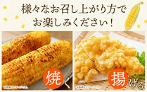 【26年先行予約】露地とうもろこし　合計12本　2026年8月中旬から発送開始予定&nbsp;【とうもろこし&nbsp;人気&nbsp;北海道産&nbsp;糖度&nbsp;生&nbsp;野菜&nbsp;スイートコーン&nbsp;産地直送&nbsp;バーベキュー&nbsp;BBQ&nbsp;コーン&nbsp;旬&nbsp;お取り寄せ&nbsp;旭川市&nbsp;北海道&nbsp;】_04755