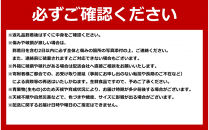 【26年先行予約】露地とうもろこし　合計12本　2026年8月中旬から発送開始予定&nbsp;【とうもろこし&nbsp;人気&nbsp;北海道産&nbsp;糖度&nbsp;生&nbsp;野菜&nbsp;スイートコーン&nbsp;産地直送&nbsp;バーベキュー&nbsp;BBQ&nbsp;コーン&nbsp;旬&nbsp;お取り寄せ&nbsp;旭川市&nbsp;北海道&nbsp;】_04755