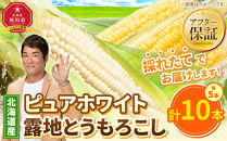 【26年先行予約】ピュアホワイト5本・露地とうもろこし5本　合計10本　2026年8月中旬から発送開始予定&nbsp;【&nbsp;白いとうもろこし&nbsp;人気&nbsp;北海道産&nbsp;糖度&nbsp;生&nbsp;野菜&nbsp;スイートコーン&nbsp;産地直送&nbsp;バーベキュー&nbsp;BBQ&nbsp;コーン&nbsp;旬&nbsp;お取り寄せ&nbsp;旭川市&nbsp;北海道&nbsp;】_04756