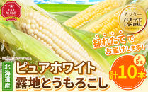 【26年先行予約】ピュアホワイト5本・露地とうもろこし5本　合計10本　2026年8月中旬から発送開始予定&nbsp;【&nbsp;白いとうもろこし&nbsp;人気&nbsp;北海道産&nbsp;糖度&nbsp;生&nbsp;野菜&nbsp;スイートコーン&nbsp;産地直送&nbsp;バーベキュー&nbsp;BBQ&nbsp;コーン&nbsp;旬&nbsp;お取り寄せ&nbsp;旭川市&nbsp;北海道&nbsp;】_04756