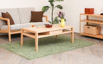 旭川家具 WOW ライン センターテーブル_04724