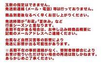 【先行予約】訳あり南城市観光協会イチ推し！ご褒美アップルマンゴー　1,5kg