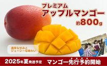 【先行予約】数量限定　ギフト用プレミアムアップルマンゴー800g