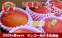 【先行予約】ご家庭用ご褒美アップルマンゴー　2kg