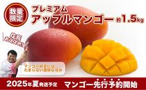 【先行予約】南城市観光協会が厳選！プレミアムアップルマンゴー1,5kg