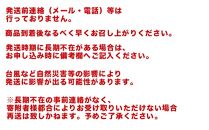 2025年5～6月発送　【先行予約】南城市産訳ありパッションフルーツ　約1kg