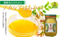 藤観光のはちみつ【美唄産　アカシアはちみつ】1.2ｋｇ