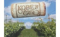 神戸ワイン エクストラ 白　750ml瓶×1本