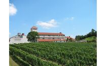 神戸ワイン ベネディクシオン・ブラン(白)　750ml瓶×1本