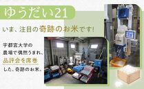 令和7年産&nbsp;特別栽培米&nbsp;ゆうだい21　4Kg（2Kgｘ2）｜お米&nbsp;減農薬&nbsp;無化学肥料栽培&nbsp;栃木県&nbsp;日光市