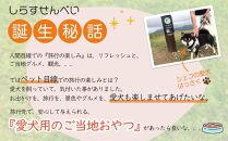 しらす せんべい ( 愛 犬  ワン 友 無添加 無塩 おやつ ) 1P ペット お試し用 REICAFE 【Rc14】