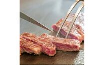 神戸の老舗精肉店が厳選！神戸ビーフ サーロインステーキ400ｇ（200ｇ×2枚）