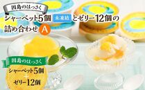 尾道スィーツ・柑橘定期便【1月～6月まで毎月発送】【チョコレート&nbsp;せとか&nbsp;しらぬい&nbsp;不知火&nbsp;チーズケーキ&nbsp;シャーベット&nbsp;ジェラート&nbsp;広島】