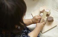 国産檜 おもちゃ IKONIH／アイコニー 食材セット