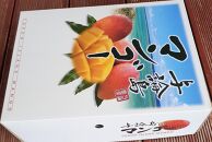 与論島産　島っ娘マンゴー（優品）2kg　4～6玉　糖度13度以上【先行予約：2026年7月上旬以降発送】| 果物 フルーツ マンゴー 2kg 人気 甘い おすすめ おすすめフルーツ 期間限定 鹿児島県 与論町