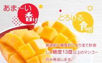 与論島産　島っ娘マンゴー（秀品）4kg　10～14玉入り　糖度13度以上【先行予約：2026年7月上旬以降発送】|&nbsp;果物&nbsp;フルーツ&nbsp;マンゴー&nbsp;4kg&nbsp;人気&nbsp;甘い&nbsp;おすすめ&nbsp;おすすめフルーツ&nbsp;期間限定&nbsp;鹿児島県&nbsp;与論町