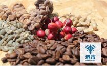 【定期便　全6回】最高級コーヒー&nbsp;コピルアク&nbsp;100g【豆状】