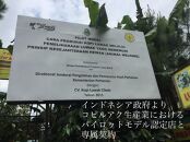 【定期便　全6回】最高級コーヒー&nbsp;コピルアク&nbsp;100g【豆状】