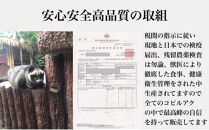 【定期便　全6回】最高級コーヒー&nbsp;コピルアク&nbsp;100g【豆状】