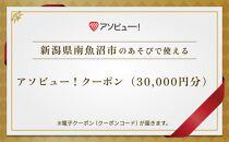 【南魚沼市】アソビュー！ふるさと納税クーポン（30,000円分）