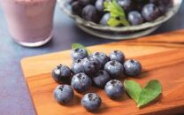 Fuji&nbsp;Berry&nbsp;ブルーベリーアイス食べ比べセット（小）