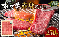 オリーブ牛　赤身焼肉用　250g