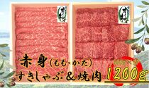 オリーブ牛　赤身部位堪能セット　1200g