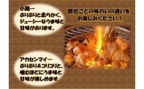 国産牛　ホルモンセット　1000g