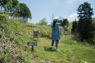 ★アメリカンBBQ付き★森のフィールドアーチェリー体験２名様分