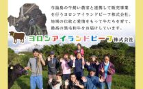 与論島産黒毛和牛　ヨロンアイランドビーフカレー7個セット | 牛 牛肉 国産 黒毛和牛 与論島産 カレー ビーフカレー 人気 おすすめ 鹿児島県 与論島 与論町