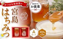 【お歳暮ギフト/熨斗付】はつはな果蜂園の宮島はちみつセット A