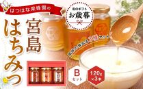 【お歳暮ギフト/熨斗付】はつはな果蜂園の宮島はちみつセット B