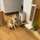 ペットフードテーブル　hole&nbsp;S（福岡市内製造）（ガラスボウル付き）