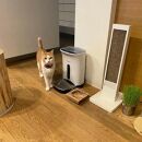 ペットフードテーブル　carving&nbsp;SS（福岡市内製造）（ガラスボウル付き）