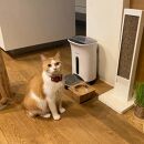 ペットフードテーブル　carving&nbsp;S&nbsp;（福岡市内製造）（ガラスボウル付き）