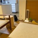 ペットフードテーブル　carving&nbsp;SS&nbsp;2連（福岡市内製造）（ガラスボウル付き）