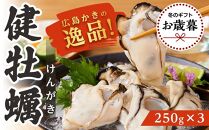 【お歳暮ギフト/熨斗付】広島かきの逸品 【健牡蠣(けんがき)】 自社ブランド 地御前 生牡蠣むき身 250g×3【かき 生牡蠣 むき身 広島牡蠣 新鮮 旬 おすすめ 人気 広島県 宮島 廿日市市】