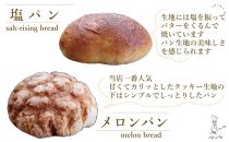 【定期便全6回】【福岡市】マツパンのパンセット11個（リッチ食パン2本、ライ麦パン1個、メロンパン3個、塩パン3個、くるみとレーズン2個）