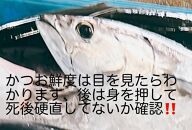 【お歳暮ギフト/熨斗付】冷凍もちもち食感ビリかつお　刺身250g＆藁焼きたたき250g