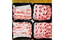 旭川産ブランド　笹豚肉2点セット（肩ロース、豚バラ）_04803