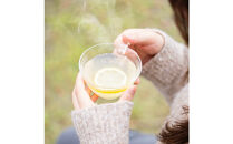 虹色レモンシロップ　300g×3本□