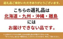 大粒きらぴ香いちご（450g×2パック）ギフトBOX入り なかじま園 大粒 果物 イチゴ 苺 ギフト 贈答品 お祝い 化粧箱 プレゼント 国産 フルーツ くだもの 冷蔵