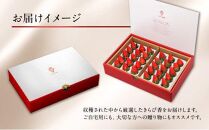 大粒きらぴ香いちご（450g×2パック）ギフトBOX入り なかじま園 大粒 果物 イチゴ 苺 ギフト 贈答品 お祝い 化粧箱 プレゼント 国産 フルーツ くだもの 冷蔵