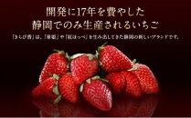 大粒きらぴ香いちご（450g×2パック）ギフトBOX入り なかじま園 大粒 果物 イチゴ 苺 ギフト 贈答品 お祝い 化粧箱 プレゼント 国産 フルーツ くだもの 冷蔵