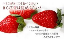 大粒きらぴ香いちご（450g×2パック）ギフトBOX入り なかじま園 大粒 果物 イチゴ 苺 ギフト 贈答品 お祝い 化粧箱 プレゼント 国産 フルーツ くだもの 冷蔵