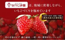 大粒きらぴ香いちご（450g×2パック）ギフトBOX入り なかじま園 大粒 果物 イチゴ 苺 ギフト 贈答品 お祝い 化粧箱 プレゼント 国産 フルーツ くだもの 冷蔵