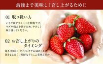 大粒きらぴ香いちご（450g×2パック）ギフトBOX入り なかじま園 大粒 果物 イチゴ 苺 ギフト 贈答品 お祝い 化粧箱 プレゼント 国産 フルーツ くだもの 冷蔵